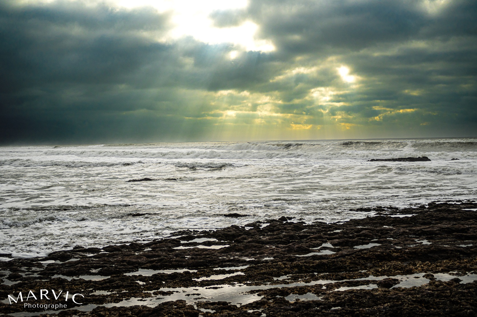 Jard sur Mer - 01-2024